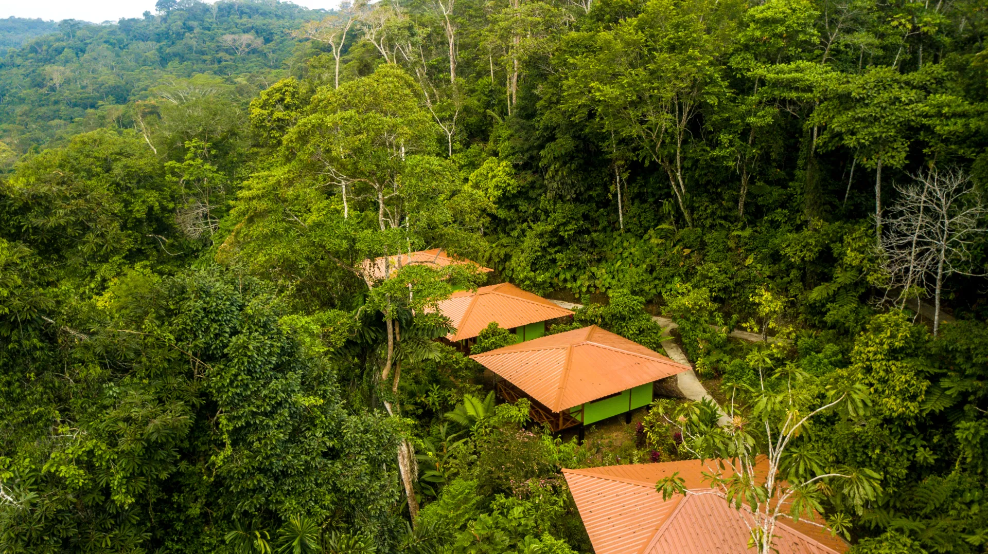 Vista aérea de las eco-cabañas de Yachana Lodge integradas en el bosque amazónico