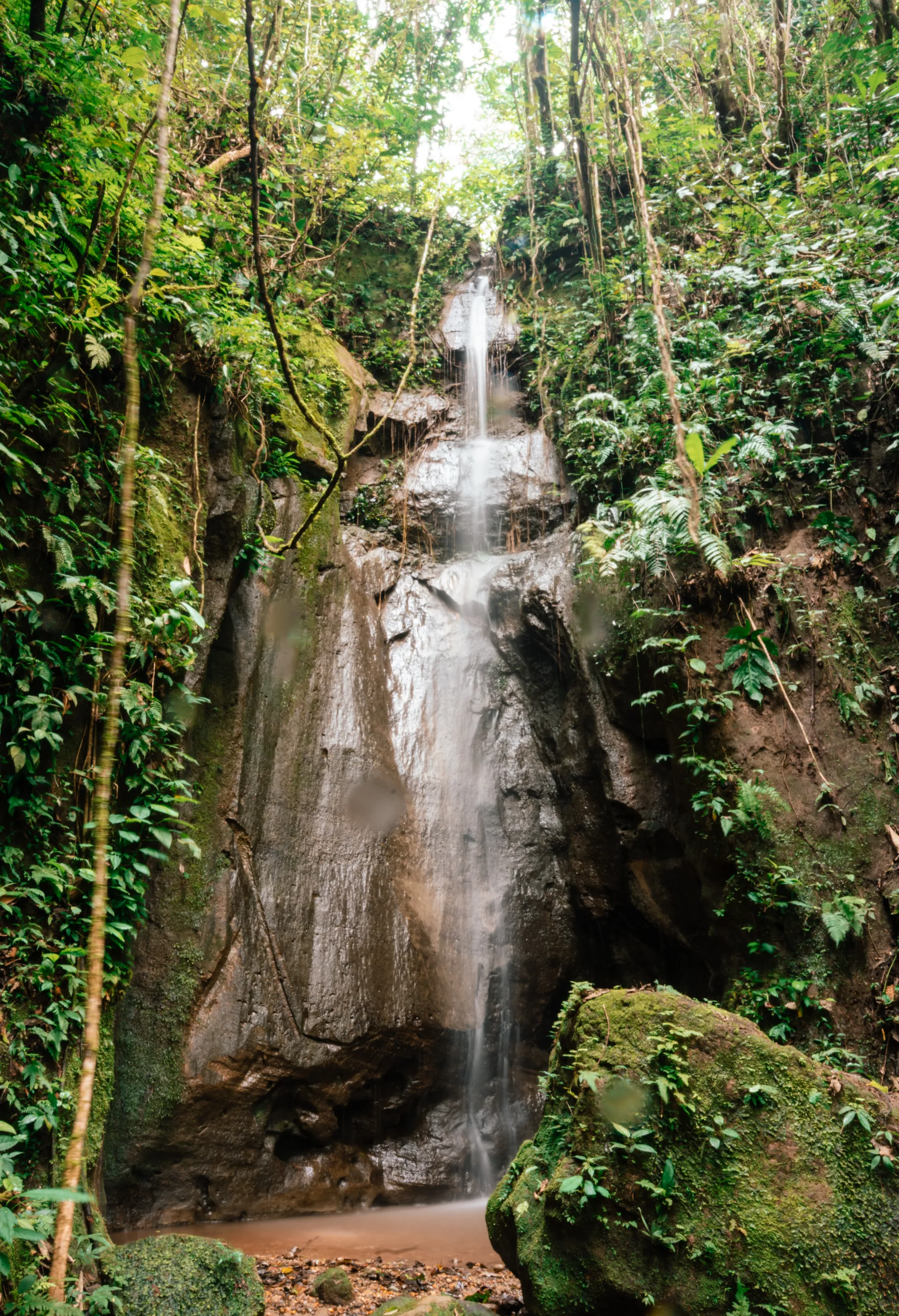 Cascada natural de alta caída de agua en el bosque tropical de la Amazonía ecuatoriana