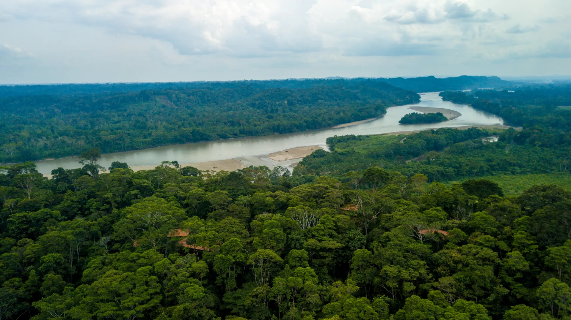 Eco-cabañas de Yachana rodeadas de bosque tropical